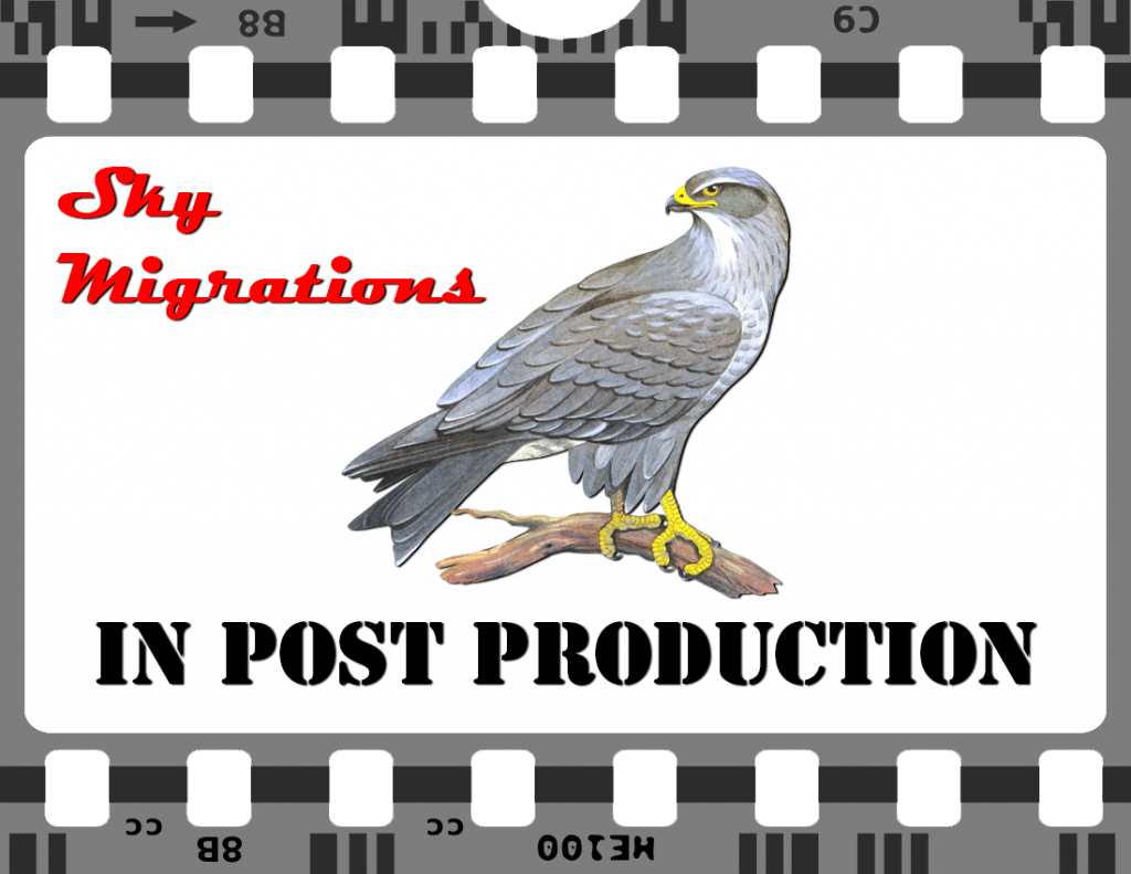 Raptors-Post-Production2
