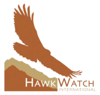 HawkWatch International